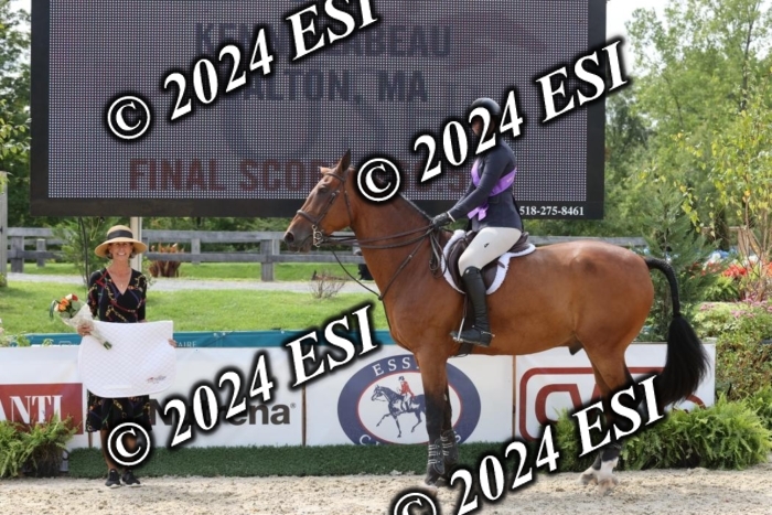 650GAB17602