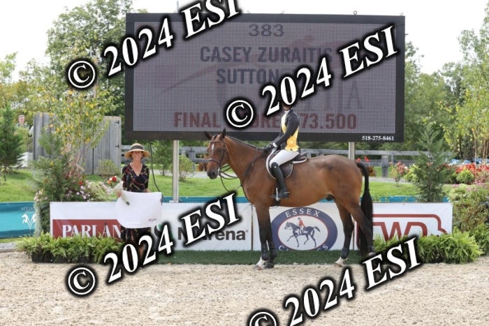 650GAB17624