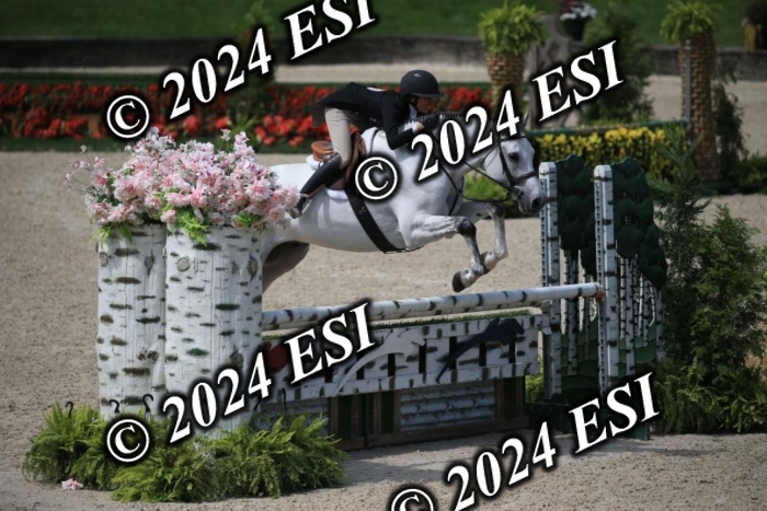 631IMGL2375
