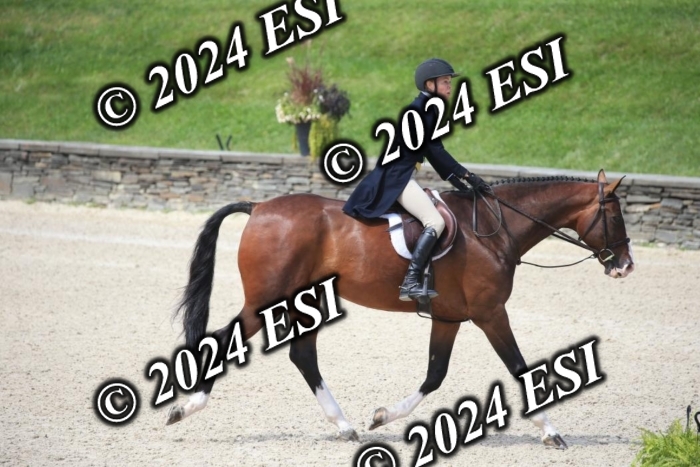 631IMGL2390