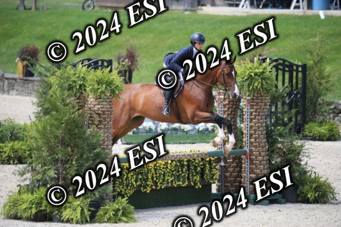 631IMGL2395