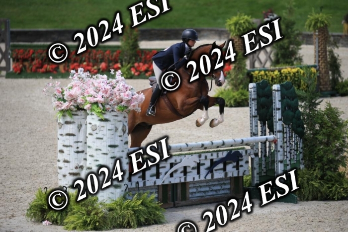 631IMGL2400