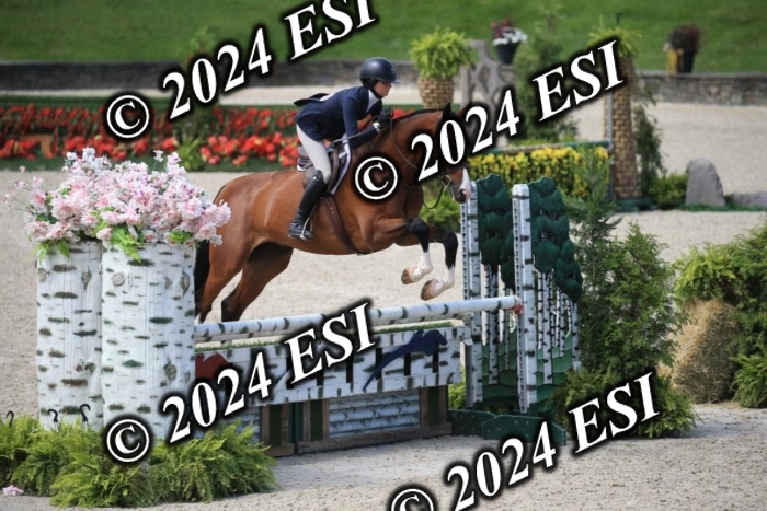 631IMGL2401