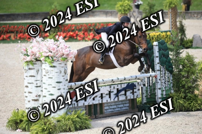 631IMGL2408