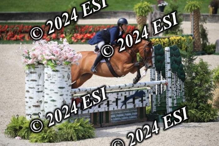 631IMGL2416