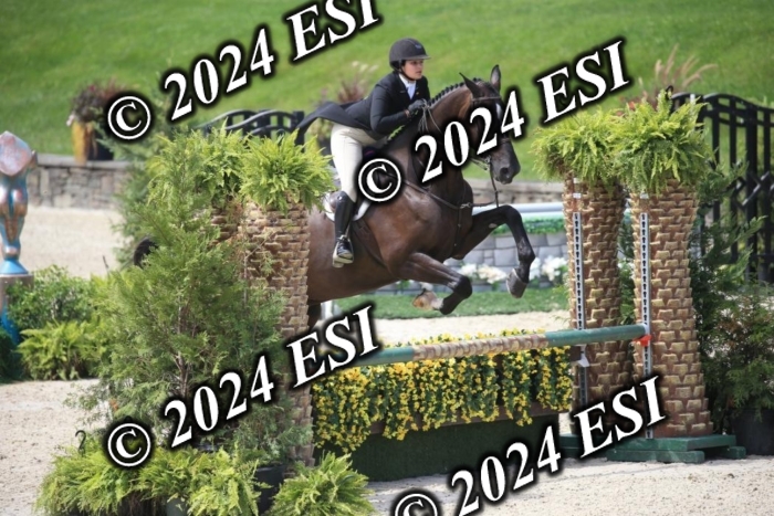 631IMGL2439