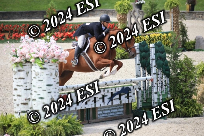 631IMGL2447