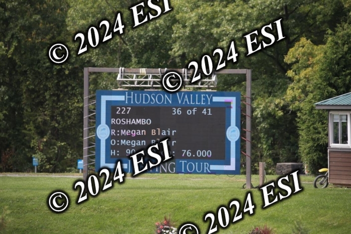 631IMGL2452