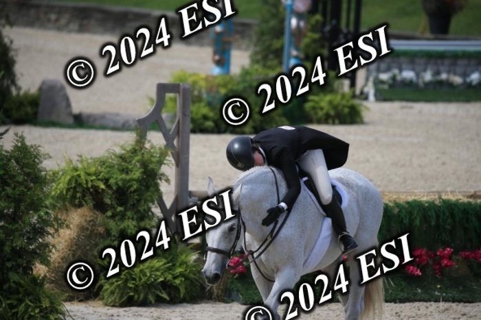 631IMGL2459