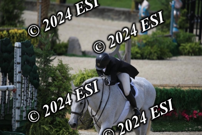 631IMGL2461