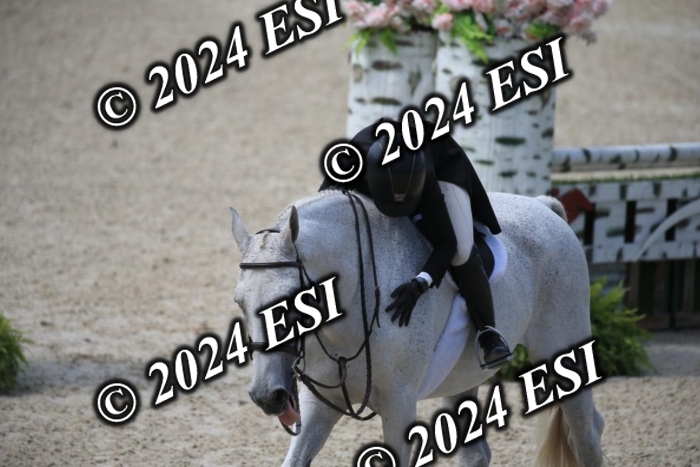 631IMGL2462