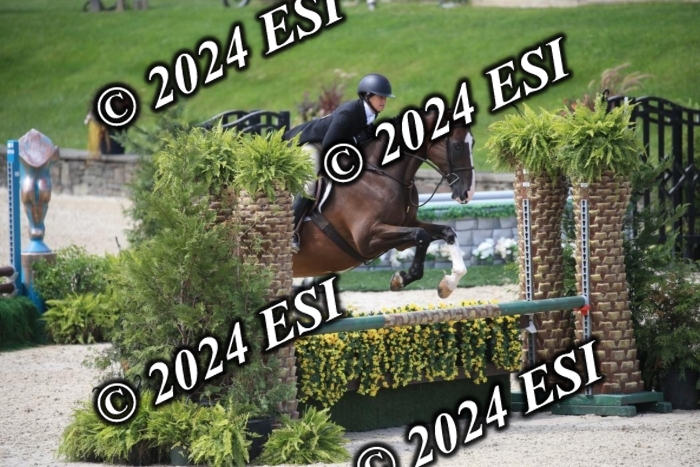 631IMGL2472