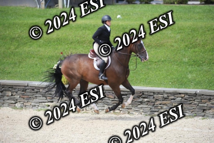 631IMGL2476