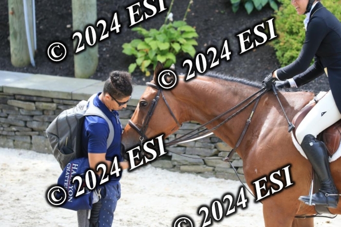 631IMGL2487