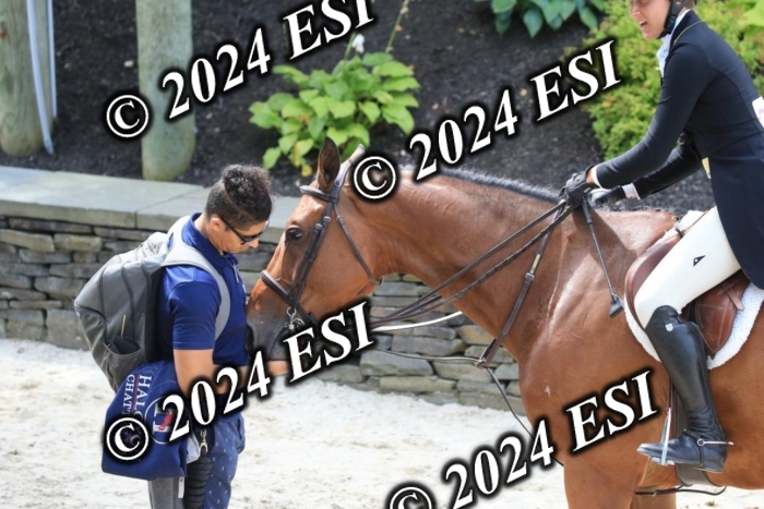 631IMGL2488