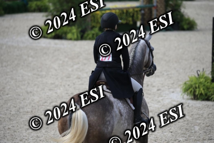 631IMGL2500