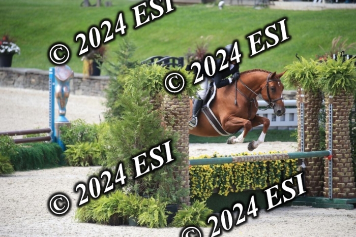 631IMGL2509