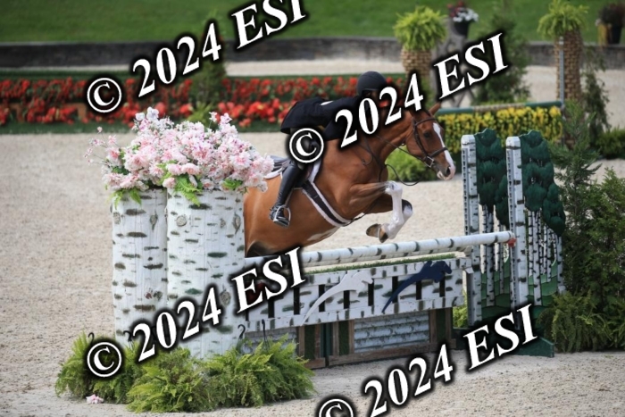 631IMGL2530