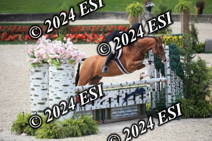 631IMGL2531