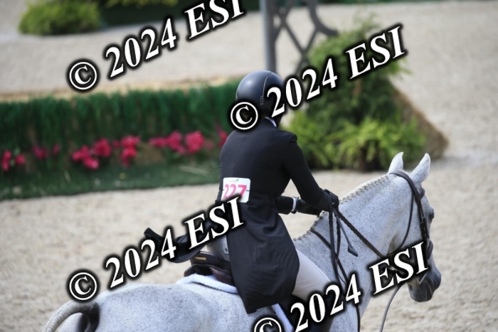 631IMGL2536