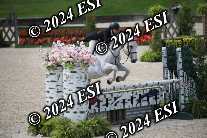 631IMGL2541
