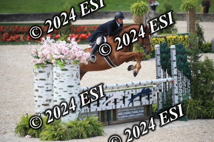 631IMGL2554