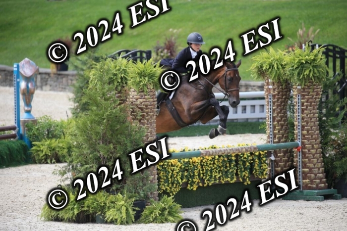 631IMGL2559