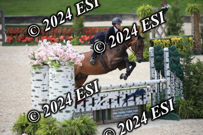 631IMGL2562