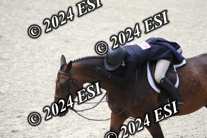631IMGL2570