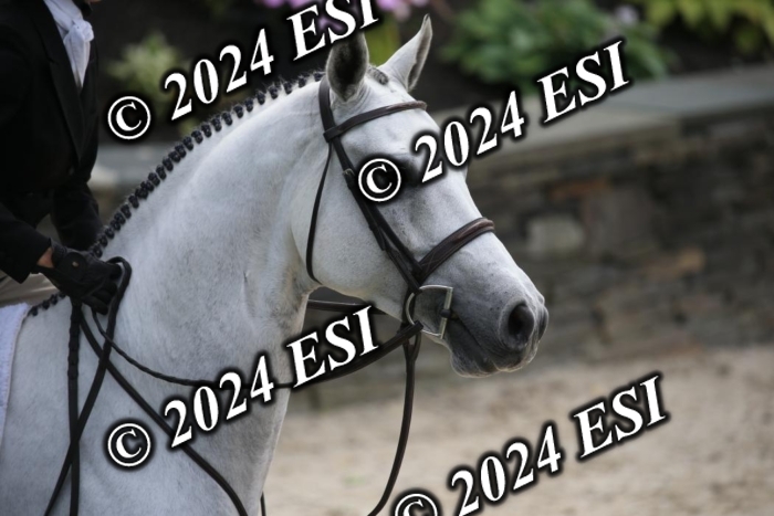 631IMGL2574