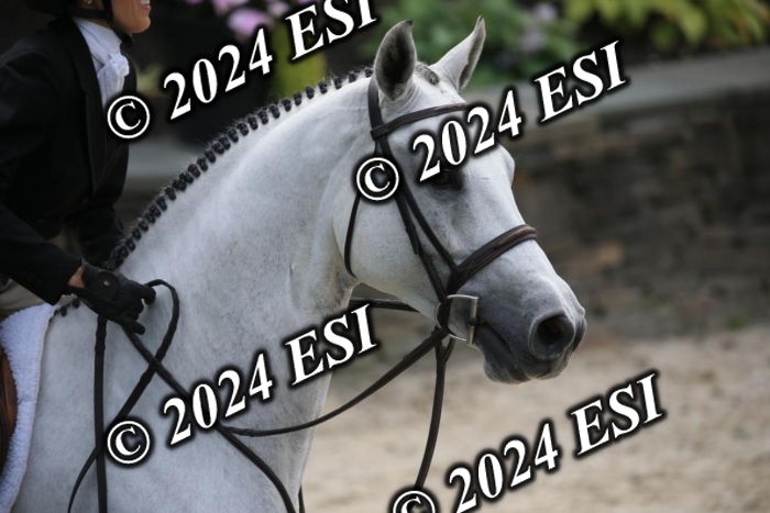 631IMGL2575