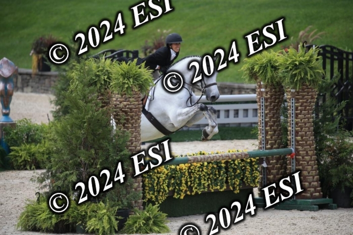 631IMGL2579