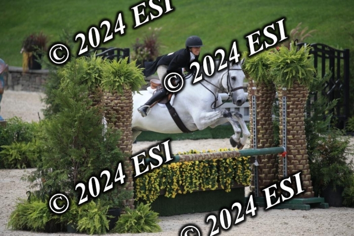 631IMGL2580