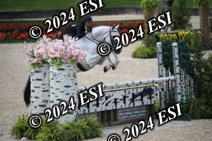 631IMGL2581