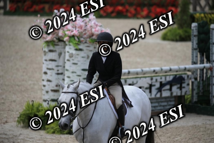 631IMGL2583