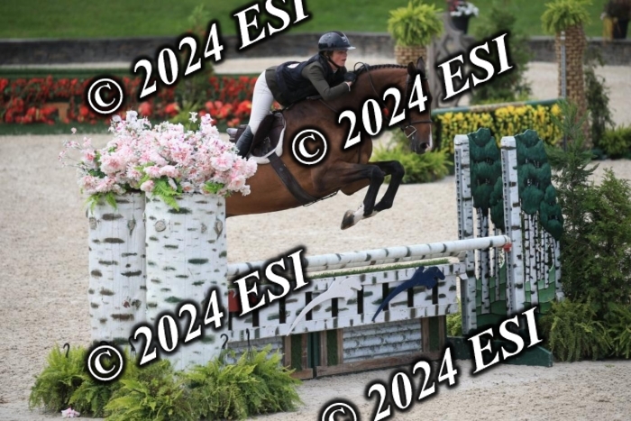 631IMGL2593
