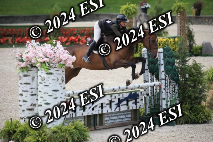 631IMGL2594