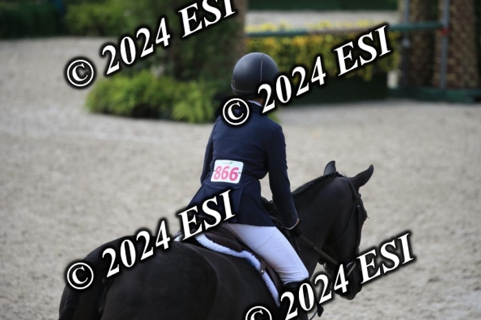 631IMGL2596