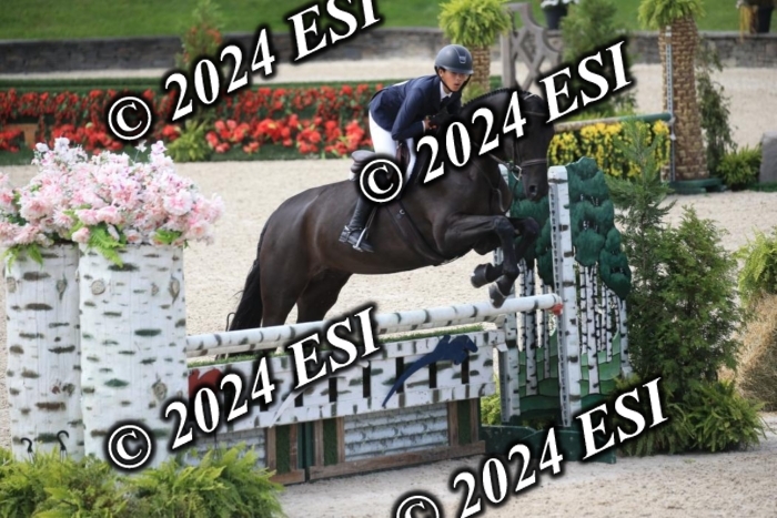 631IMGL2600