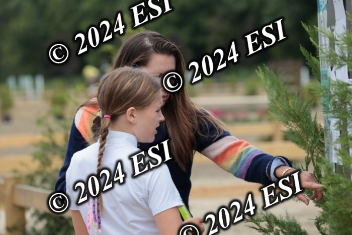 888629SC1_0993