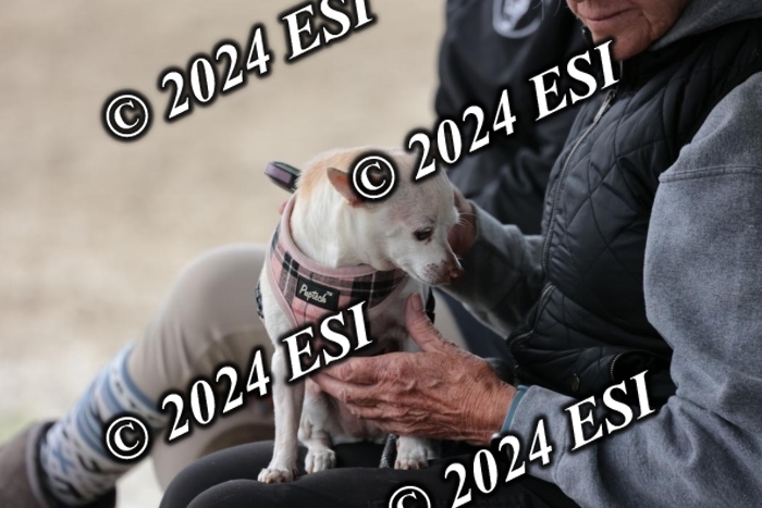 888629SC1_1062