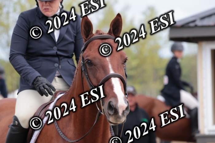 888629SC1_1072