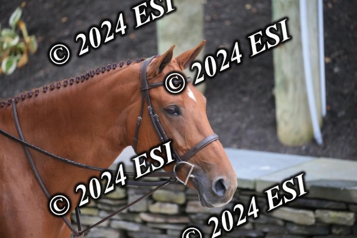 888630IMGL1959