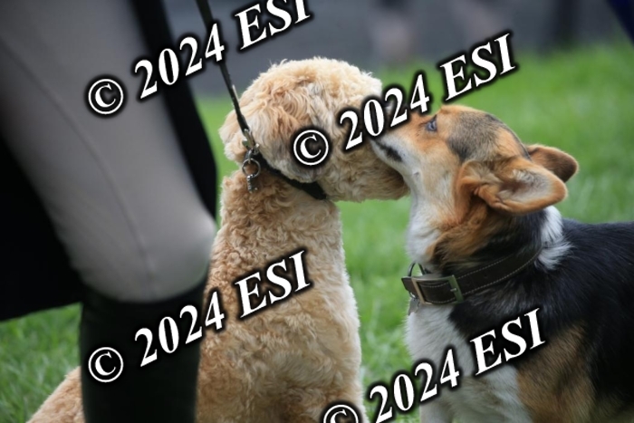 888631IMGL2275