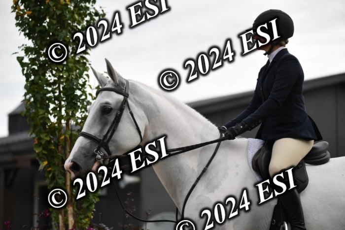 888650CAH_8978